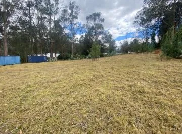 Vendo Terreno 19.984 m² Pifo, Alcantarillado, $50 C/m², A1 Km Vía, Vista — imagen 2