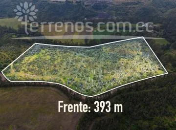 Terreno en Venta 7 Has Cerca a La E 35 — imagen 4