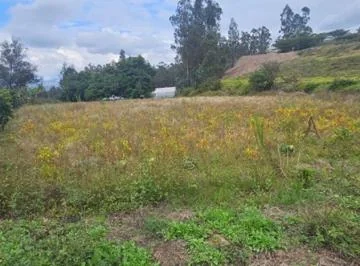 Terreno en Venta en Puembo 10.000 m² — imagen 5