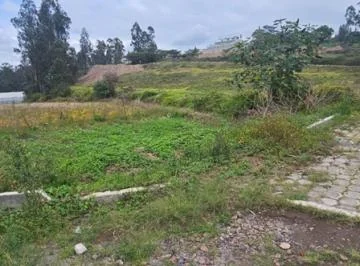 Terreno en Venta en Puembo 10.000 m² — imagen 4