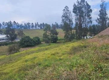 Terreno en Venta en Puembo 10.000 m² — imagen 3