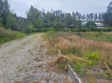 Terreno en Venta en Puembo 10.000 m² — imagen 2