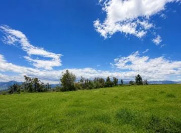 Vendo Terreno Plano 20.000 m² Ascázubí Entorno Natural, Vista Privilegiada, Cerca La Panamericana — imagen 5