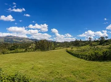 Vendo Terreno Plano 20.000 m² Ascázubí Entorno Natural, Vista Privilegiada, Cerca La Panamericana — imagen 4