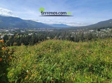Vendo Terreno Cumbaya 981 m² Ideal Para Proyecto Inmobiliario Urbanización — imagen 5