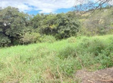Terreno en Venta 36.000 m² Fines Agrícolas y Lotizable Yunguilla Cuenca - Azuay, Azuay — imagen 3