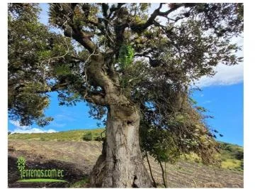 Haciendas Exclusivas de Venta en Machachi 2 Hectáreas, Hacienda Los Quishuares — imagen 3