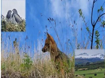 Haciendas Exclusivas de Venta en Machachi 2 Hectáreas, Hacienda Los Quishuares — imagen 2