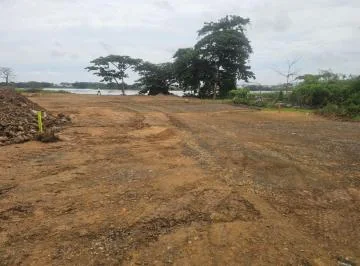 Exclusivo Terreno Para Inversionistas Frente Al Rio Daule en La Aurora, 16.000 m Cuadrados, Guayas — imagen 5