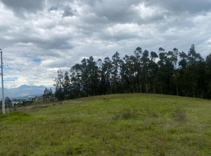 Terreno de Venta en Checa, San Agustin — imagen 1