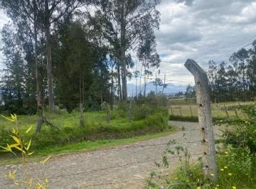 Terreno de Venta en Checa, San Agustin — imagen 4
