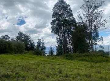 Terreno de Venta en Checa, San Agustin — imagen 3