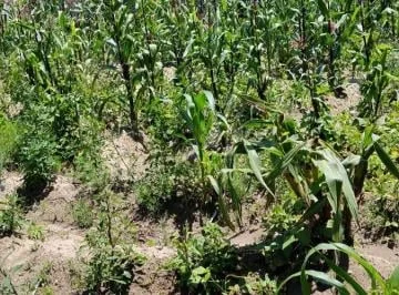 Terreno en Venta Barrio Esperanza y Progreso — imagen 3