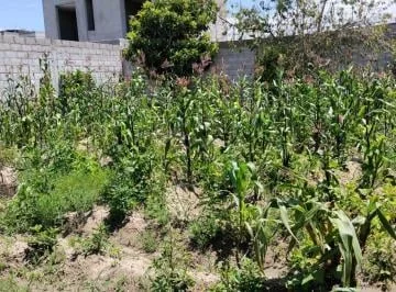 Terreno en Venta Barrio Esperanza y Progreso — imagen 2