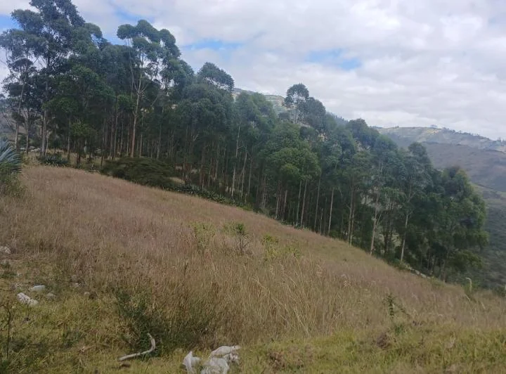 Terrenos de Venta en El Illaló — imagen 1