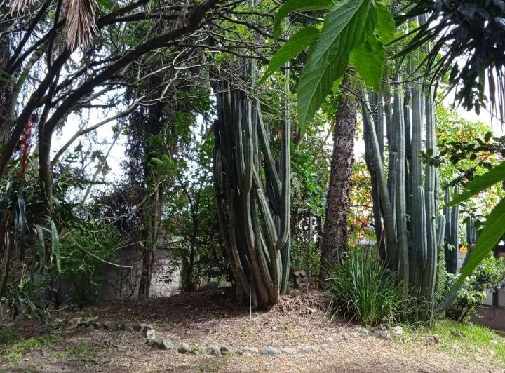 Lindo Terreno de 2.289 m², Extraordinaria Ubicación — imagen 1