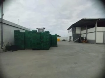 Empacadora en Venta en Santa Elena — imagen 4