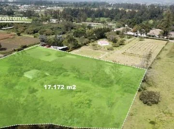 Terreno de Venta Puembo 17.172 m² Sector Rincón de Puembo — imagen 5