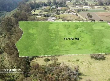 Terreno de Venta Puembo 17.172 m² Sector Rincón de Puembo — imagen 4