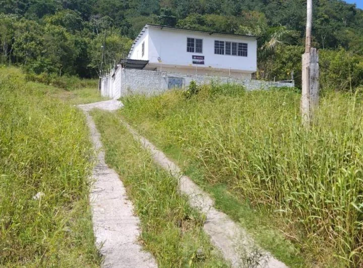Esmeralddas, Tachina, Vendo Terreno de 600 m², Frente a La Via El Tigre. a 500 m de La U. Católica. Provincia de Esmeraldas — imagen 1