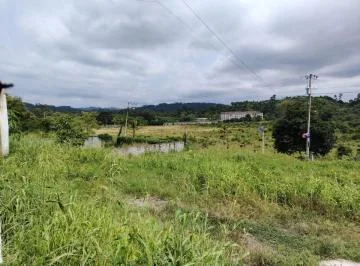 Esmeralddas, Tachina, Vendo Terreno de 600 m², Frente a La Via El Tigre. a 500 m de La U. Católica. Provincia de Esmeraldas — imagen 4