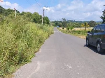 Esmeralddas, Tachina, Vendo Terreno de 600 m², Frente a La Via El Tigre. a 500 m de La U. Católica. Provincia de Esmeraldas — imagen 3