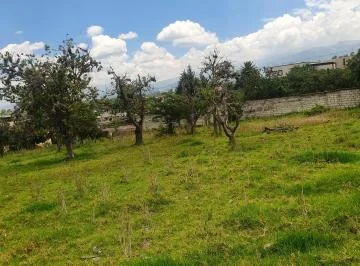 "Venta: Lote de Terreno de 683 m² en Tumbaco, a Solo 3 Minutos del Parque" — imagen 4