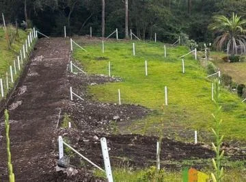 Vendo Lindos Terrenos de 200 m en Yaruqui - Tejar Alto Sector Ilapaloma — imagen 5