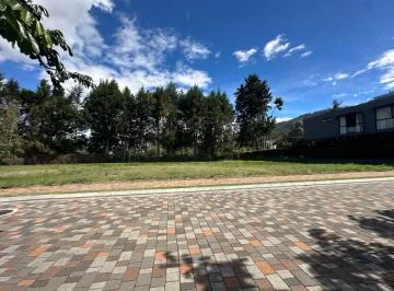 Vendo Hermoso Terreno 812 m² Cumbayá Dentro de Urb. Exclusiva Cercana a San Patricio Smart Livin — imagen 3