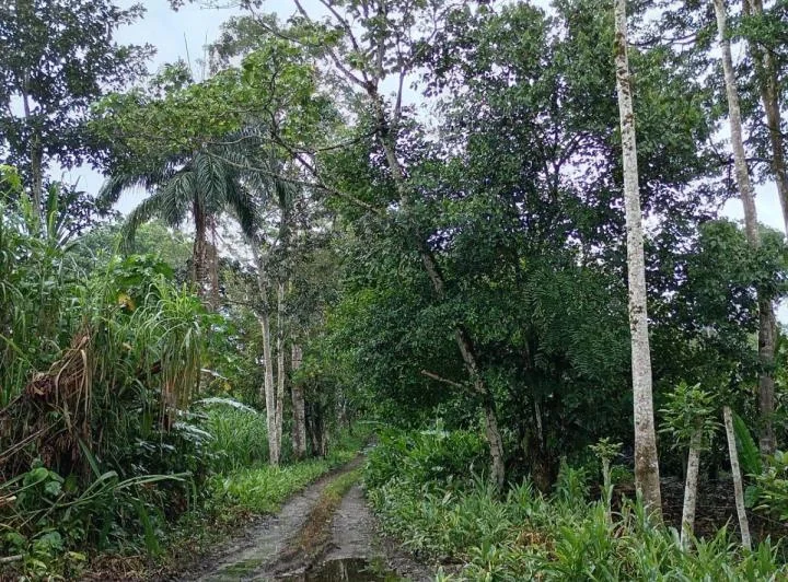 Terreno de 1900 m² en Venta en El Sur de Tena, Napo — imagen 1