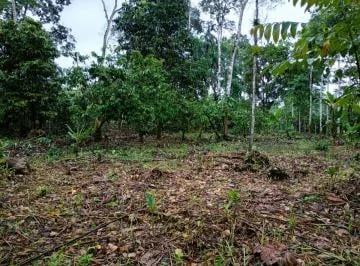 Terreno de 1900 m² en Venta en El Sur de Tena, Napo — imagen 5