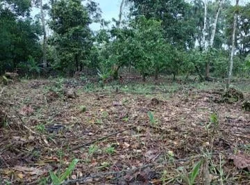 Terreno de 1900 m² en Venta en El Sur de Tena, Napo — imagen 4