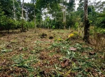 Terreno de 1900 m² en Venta en El Sur de Tena, Napo — imagen 2