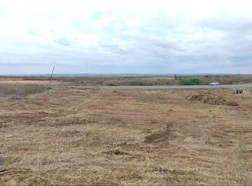 Espectacular Lote de 150.000 m² (15 Has) Via a Costa Km 81, Guayas — imagen 5