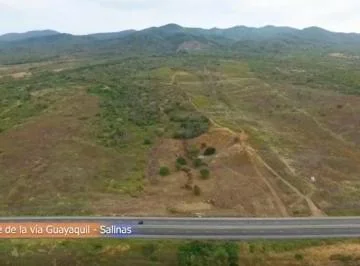 Espectacular Lote de 150.000 m² (15 Has) Via a Costa Km 81, Guayas — imagen 4