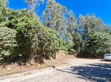 Terreno - Conocoto — imagen 2