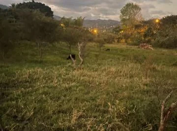 Vendo Hermosa Propiedad en El Valle de Yunguilla La Union, Azuay — imagen 5
