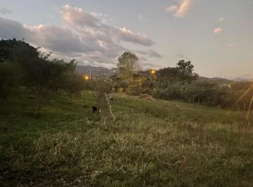 Vendo Hermosa Propiedad en El Valle de Yunguilla La Union, Azuay — imagen 4