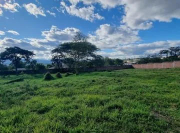 Vendo 5380 m² $150/m² con Cerramiento en La Esperanza Tumbaco — imagen 4
