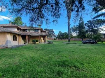 Vendo 5380 m² $150/m² con Cerramiento en La Esperanza Tumbaco — imagen 3