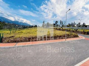 Hermosos Terrenos de Venta en Puembo — imagen 4