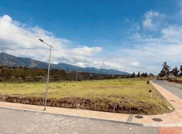 Hermosos Terrenos de Venta en Puembo — imagen 3