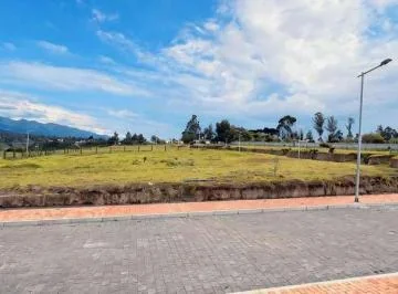 Hermosos Terrenos de Venta en Puembo — imagen 2