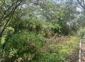 Terreno de 1011 m² en Venta en Urbanización Privada en Tumbaco — imagen 5