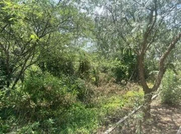Terreno de 1011 m² en Venta en Urbanización Privada en Tumbaco — imagen 4