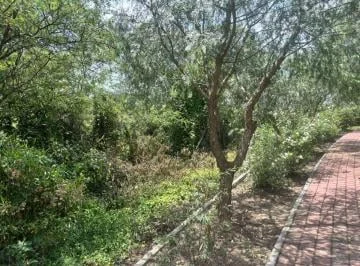 Terreno de 1011 m² en Venta en Urbanización Privada en Tumbaco — imagen 3