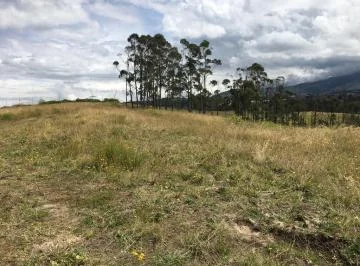 Jal. Venta Terreno Tabacundo 60ha Para Florícola, Abundante Agua — imagen 5