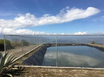 Jal. Venta Terreno Tabacundo 60ha Para Florícola, Abundante Agua — imagen 2