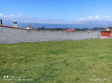 Se Vende Terreno Sangolqui Sector Inchalillo — imagen 4