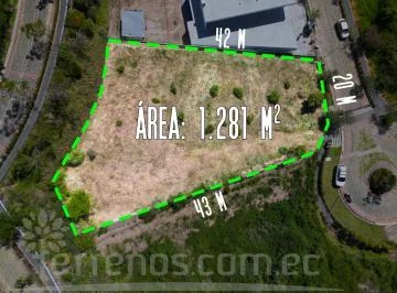 Terreno en Venta 1.281 m², Urbanización Terraviva Tumbaco — imagen 5